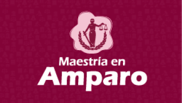 Maestría en Amparo
